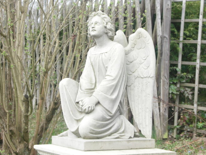 Bild 1 Ein Engel auf dem Gottesacker.