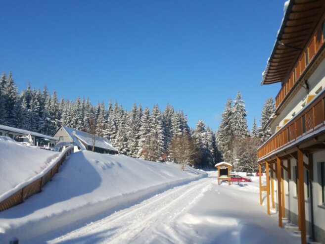 Bild 1 Waldhotel im Winter