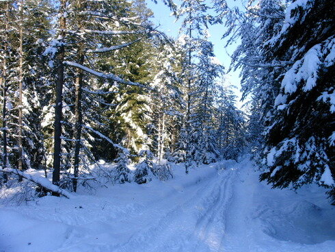 Bild 6 Winter im Vogtland