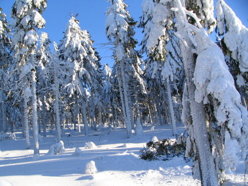 Bild 6 Winterlandschaft in der näheren Umgebung
