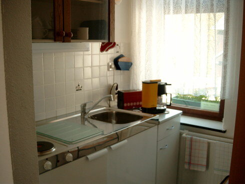 Bild 4 separate Küchenzeile zum 1-Raum-Apartment