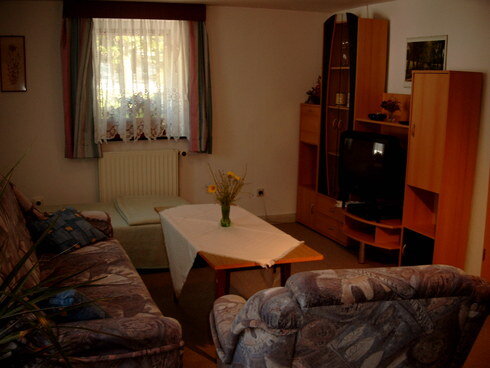 Bild 5 Wohnraum im 2-Raum-Apartment