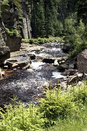 Bild 10 das wildromantische Schwarzwassertal gehört zu den schönsten Tälern Sachsens;
