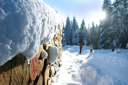 Bild 2 Ideale Wintersportmöglichkeiten rund um den Waldpark
