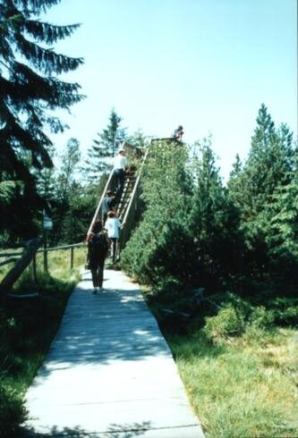 Bild 1 Aussichtsturm im Hochmoor "Kleiner Kranichsee"