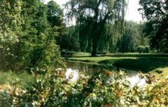 Bild 2 Englischer Park am Schloss Reinhardtsgrimma