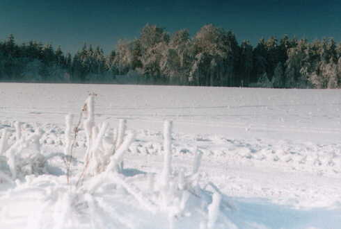Bild 4 Winterlandschaft nahe Ortsteil Oberfraudorf