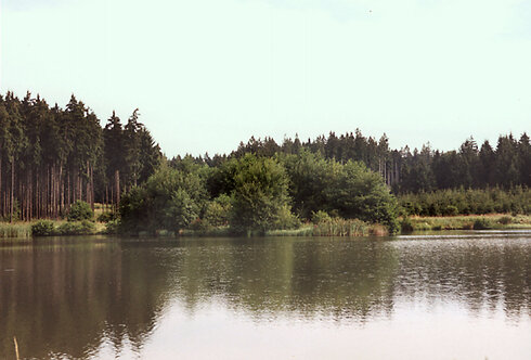 Bild 4 "Thierbacher Teich"