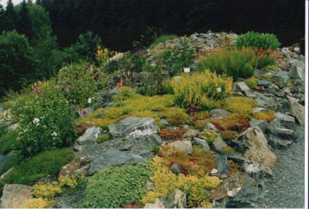 Bild 5 Botanischer Garten Adorf