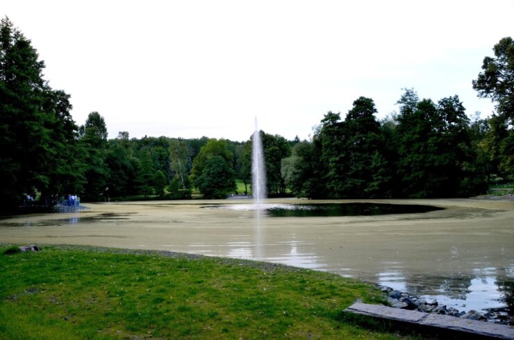 Bild 7 Bildimpressionen von der Einweihung der Fontäne im Plauener Stadtpark.