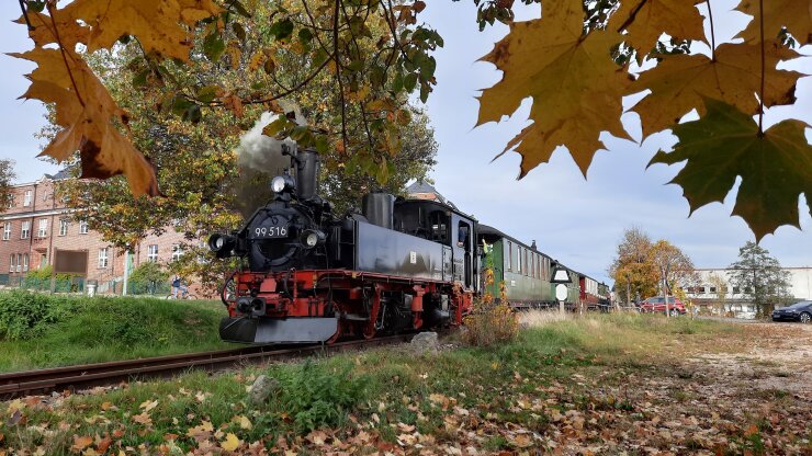 Bild 1 Die Lok 99 516 mit dem historischen Schmalspurzug dampft auf der 4,5 Kilometer langen Strecke von Schönheide nach Stützengrün-Neulehn.