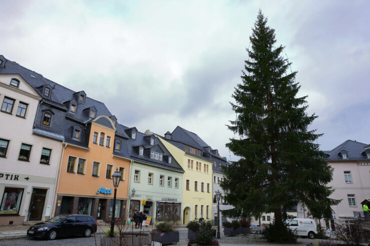 Bild 4 Das ist der noch schmucklose Weihnachtsbaum von Schwarzenberg.