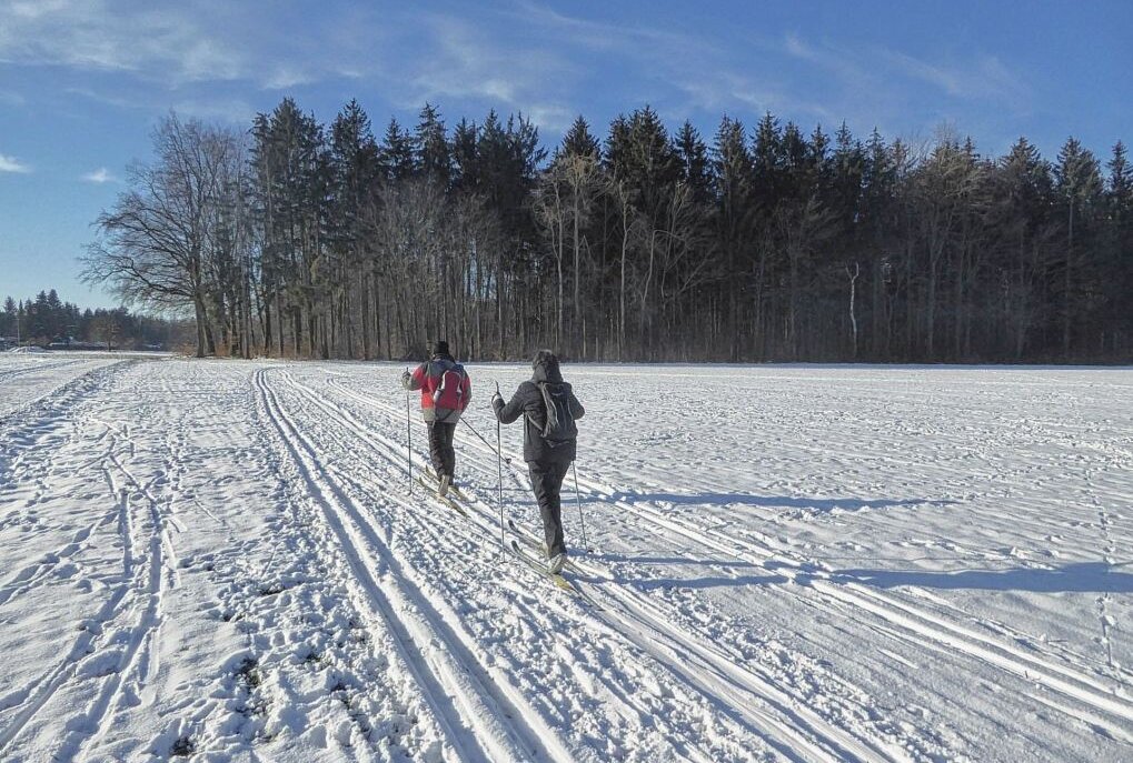 Letztes Mal Wintersport für die Saison: In und um den Freiberger Stadtwald 