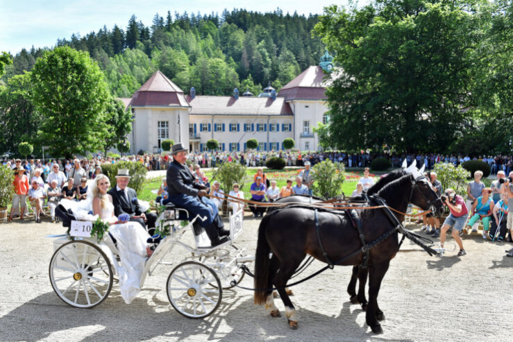 Bild 1 Edle Pferderassen präsentieren sich vor prachtvollen historischen Kutschen bei der "Equipage Bad Elster". Edle Pferderassen präsentieren sich vor prachtvollen historischen Kutschen bei der "Equipage Bad Elster".