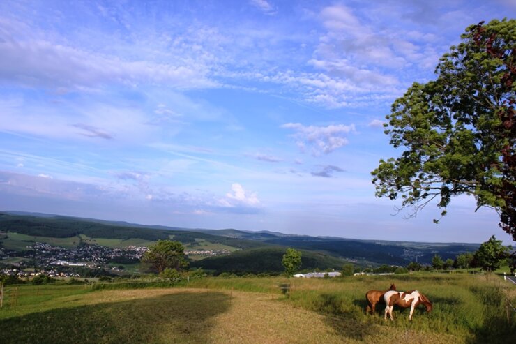 Bild 1 Panoramablick vom Spiegelwald zwischen Grünhain und Bernsbach.