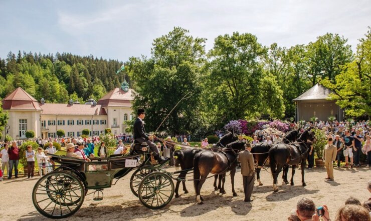 Bild 2 Der Pfingstsonntag gehört den Pferden - denn dann findet in Bad Elster traditionell die beliebte "Equipage Bad Elster - Edle Pferde & Historische Kutschen" statt.