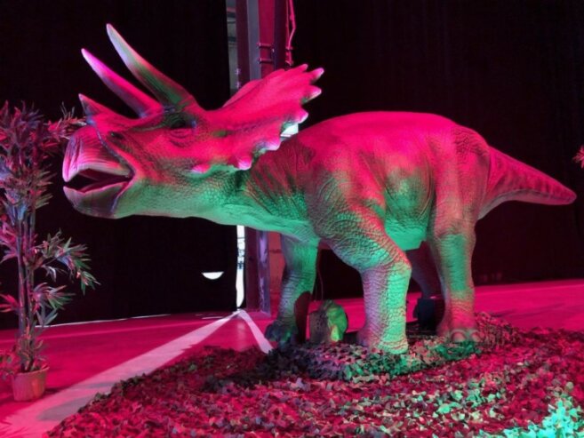 Bild 3 Am 5. und 6. März gastiert die Dinosaurier-Ausstellung in Plauen.