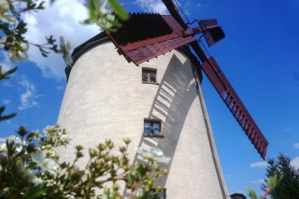 Windmühle in Syrau gewährt Einblicke ins Müllerhandwerk