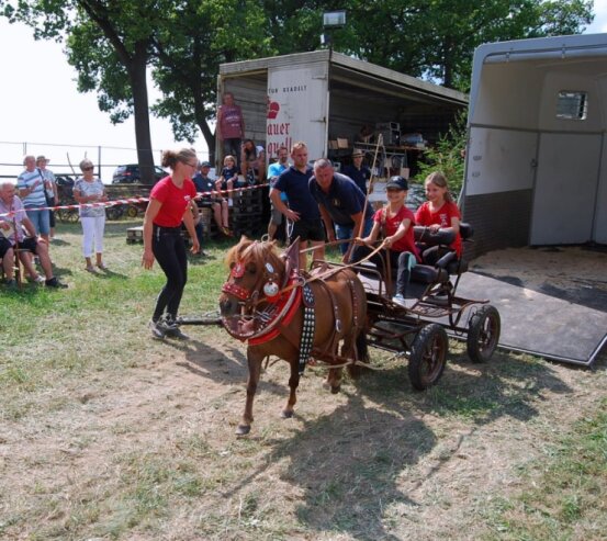 Bild 3 Pferd und Reiter in Aktion bei Vorführungen rund um Pferdesport, Dressur und Haltung.