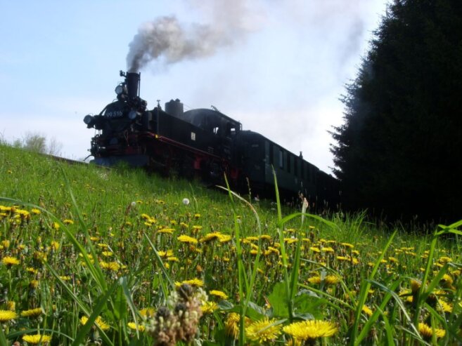 Bild 2 An Pfingsten steht die  IV-K Lokomotive 99 516 zwei Tage lang unter Dampf.