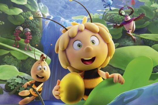 Fanpakete zu "Die Biene Maja - Das geheime Königreich"