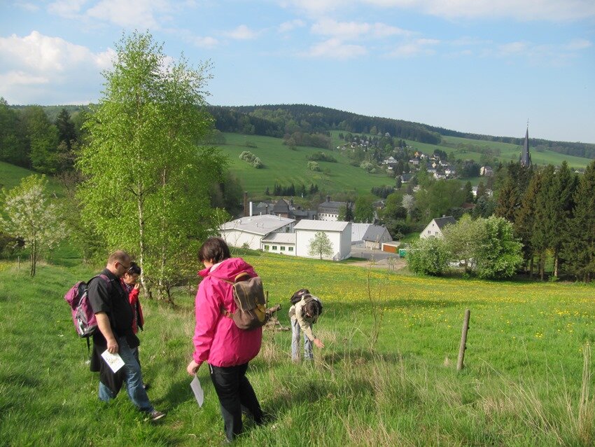 Wandertipp: Rundwanderung Rechenberger Kräuterpfad - Natur pur erleben